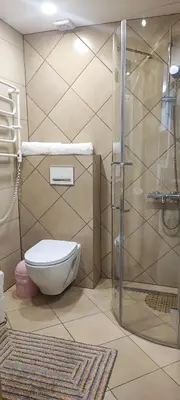 a bathroom with a toilet and a shower at Amber Apartament in Druskininkai