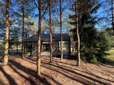 a house in the middle of a forest with trees at Gilužio sodyba in Girsteitiškis