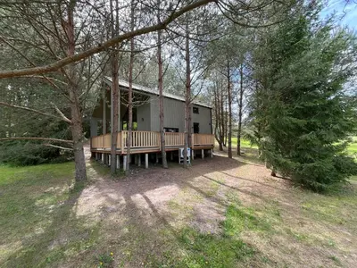 a cabin in the middle of a forest with trees at Gilužio sodyba in Girsteitiškis