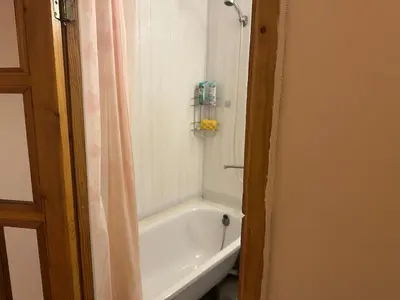 a bathroom with a tub and a shower with a shower curtain at Minties apartment in Vilnius