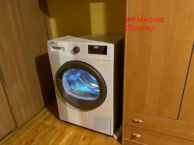 a washing machine sitting next to a wooden cabinet at Minties apartment in Vilnius
