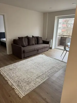 a living room with a brown couch and a rug at STAR apartamentai in Panevėžys