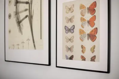 two framed pictures of butterflies on a wall at Sunny, Peaceful & Spacious Apartment by URBAN RENT in Vilnius