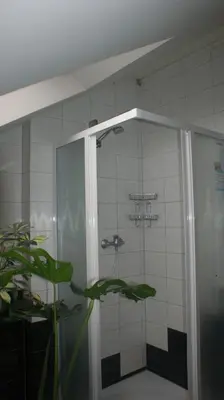 a shower in a bathroom with a plant at Eiva in Marijampolė