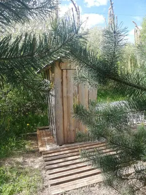 a wooden gate in a forest with pine trees at Glamping under the pines in Vilnius