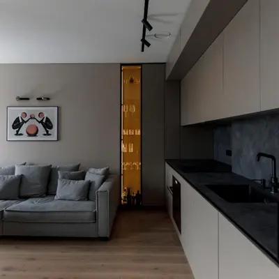 a living room with a couch and a kitchen at Spacious luxury apartment with parking in Vilnius