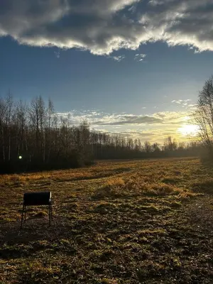 a bench sitting in the middle of a field at Spalvotas Beržas in Lyduokiai