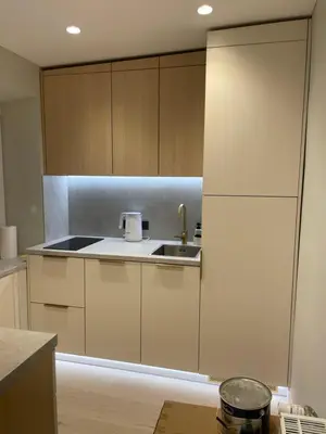 a kitchen with a sink and a refrigerator at Jaukus butas miesto centre in Šiauliai
