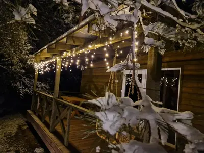 a cabin with a bunch of lights on it at Atostogų namelis SAMANOTA PAMIŠKĖ, pirtis ir kubilas papildomai in Romaškiai