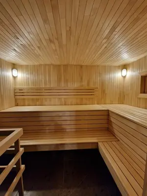 a wooden sauna with two benches and two lights at Atostogų namelis SAMANOTA PAMIŠKĖ, pirtis ir kubilas papildomai in Romaškiai