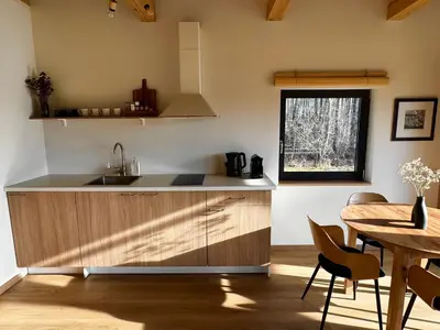 a kitchen with a sink and a table and a window at MOSS lodge in Naujasėdžiai