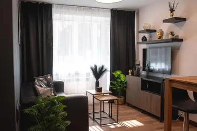 a living room with a couch and a tv and a window at Euforia - Jacuzzi apartment Ukmergė in Ukmergė
