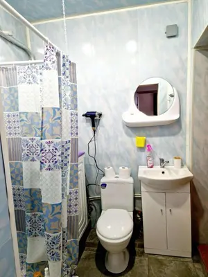 a small bathroom with a toilet and a sink at Kambarių nuoma prie Bridvaišio ežero in Tytuvėnai
