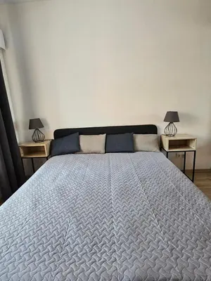a bedroom with a large bed with two tables at Vilniaus apartamentai in Vilnius