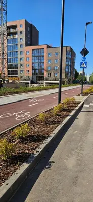 an empty street with a bike lane in a city at Vilniaus apartamentai in Vilnius