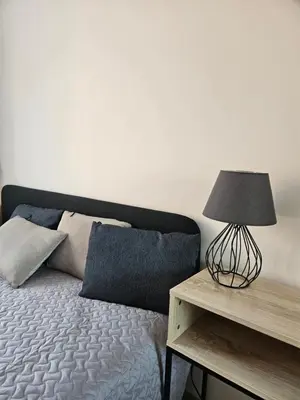a bedroom with a bed with a lamp on a table at Vilniaus apartamentai in Vilnius