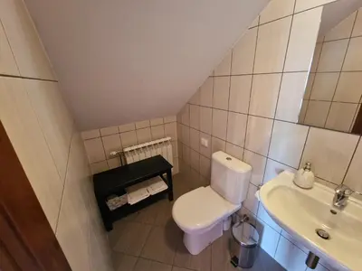 a small bathroom with a toilet and a sink at Roksala in Taručiai