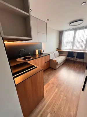 a kitchen and a living room with a couch at Žvėryno studija in Vilnius