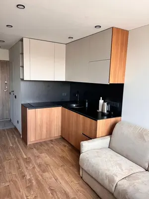 a living room with a couch and a kitchen at Žvėryno studija in Vilnius