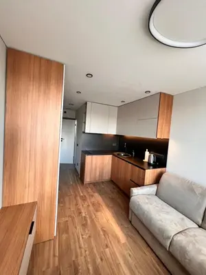 a living room with a couch and a kitchen at Žvėryno studija in Vilnius