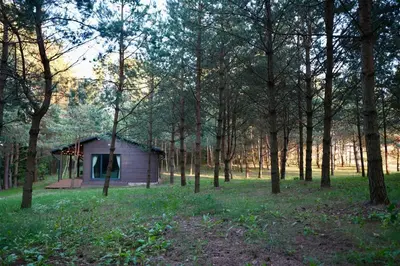 a small cabin in the middle of a forest at Bijūnų Šilas in Žaugėdai