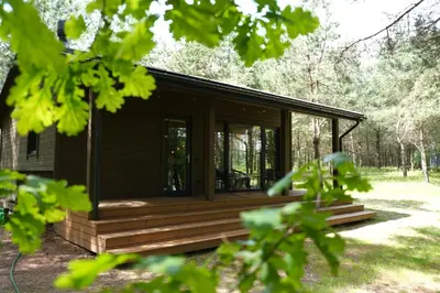 a cabin in the woods with a large deck at Bijūnų Šilas in Žaugėdai