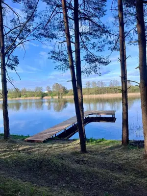 a dock on the side of a lake at Bijūnų Šilas in Žaugėdai
