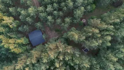 an overhead view of a forest of trees with a blue building at Bijūnų Šilas in Žaugėdai