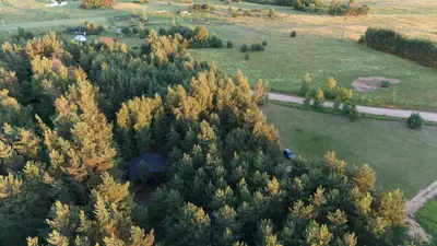 an aerial view of a forest of trees with a house at Bijūnų Šilas in Žaugėdai