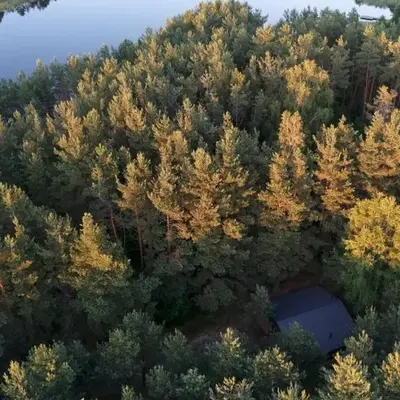 Bijūnų Šilas