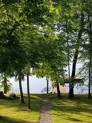 a path in a park with trees and a body of water at Sodyba prie Vidinksto ežero in Pakalniai