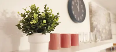 a white vase with a plant on a shelf with a clock at Prime Location Apartment Vilnius in Vilnius