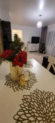 a table with a vase with red flowers on it at Stonaičių sodybos Namelis in Kelmė