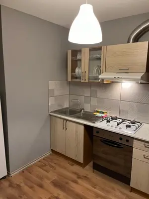 a kitchen with a sink and a stove at KRL&Lu Rentals in Panevėžys