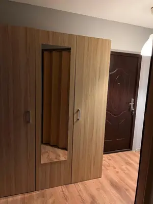 a closet with ajar door in a room at KRL&Lu Rentals in Panevėžys