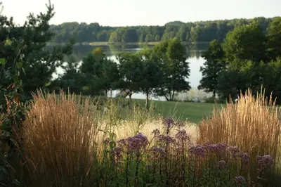 a field of tall grass with a lake in the background at Ežero Sapnas - Dream of the Lake in Lazdijai