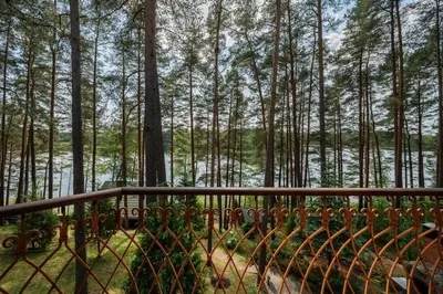 a view of a forest of trees from a balcony at Villa Emerald in Luokesos Sen