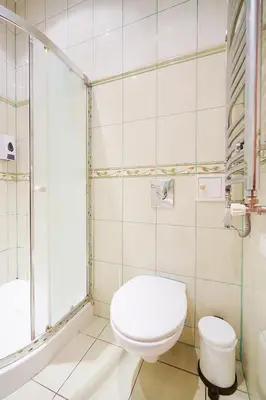 a bathroom with a toilet and a shower at Jablonskis Apartment in Vilnius