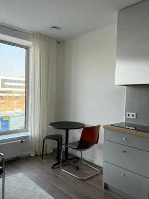a table and chairs in a room with a window at Ozas Cozy Studio apartment in Vilnius