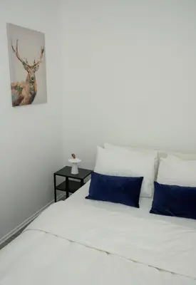 a bedroom with a white bed with blue pillows at El Roi Home's in Vilnius