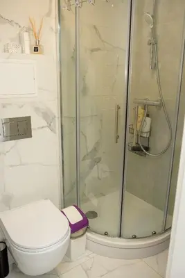 a bathroom with a shower and a toilet at El Roi Home's in Vilnius