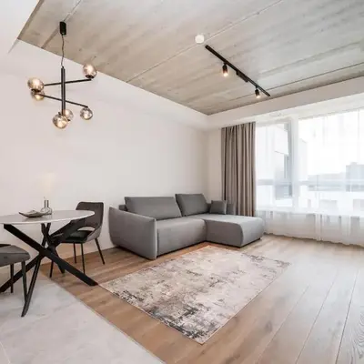 Luxury apartment near downtown