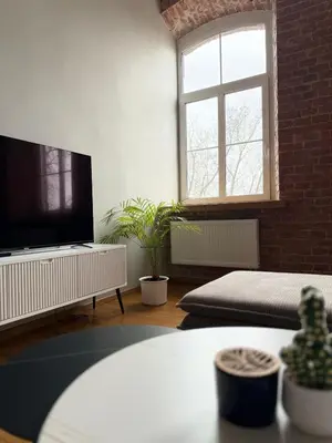a living room with a flat screen tv and plants at Small but with character in Kaunas