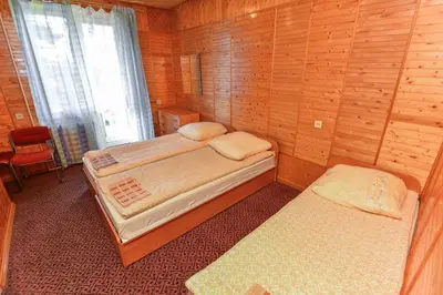 a bedroom with two beds in a wooden room at Nakvynė prie ežero Akmenėlis in Dyviliškiai