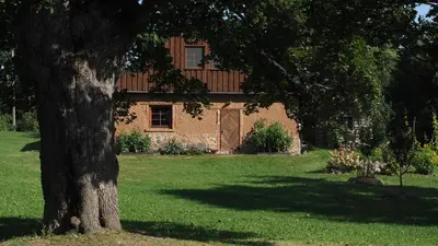 a brick house with a tree in front of it at Molinis ir Medinis in Ažuluokesa