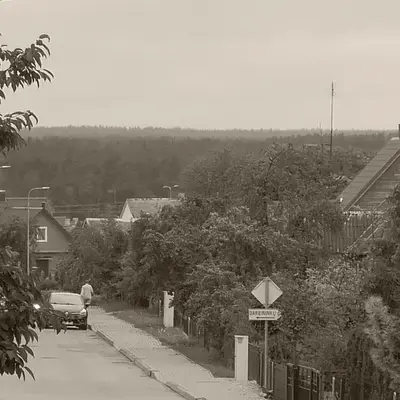 Namelis 1954
