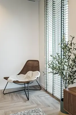 a living room with a chair and a plant at Cozy Piliamiescio Apartament No 2 by URBAN RENT in Kaunas