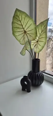 a black vase with a large green plant in it at Private room at Hotel building in Vilnius
