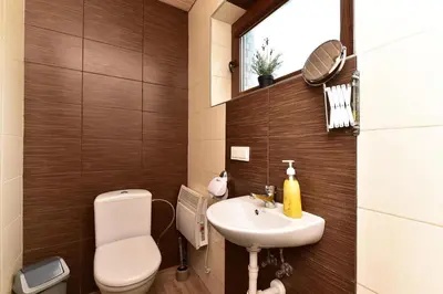 a bathroom with a toilet and a sink at Holiday House Strawberry in Druskininkai