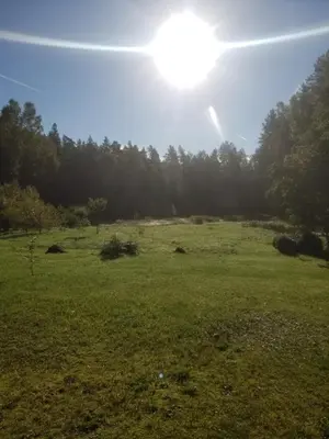 a green field with the sun in the sky at A&S Vidugiris in Jurbarkas